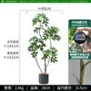 Planta verde artificial de luxo de alta qualidade, madeira biónica pé de pato, planta falsa grande em vaso de chão para sala de estar interior ao lado do sofá
