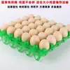 30 Charolas de Huevos de Plástico, Charolas de Huevos, Charolas de Huevos, Portahuevos de Pato, Charolas de Huevos para el Hogar, Tablero de Burbujas para Transporte de Huevos a Alta Temperatura