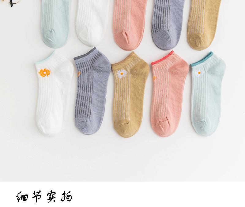 5色菊-猫-切片图_08
