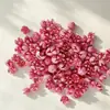 Flores Hechas a Mano del Jardín de Infancia Acorn, Flores Naturales Reales, Piñas, Frutos de Mil Granos, Flores Secas Decorativas, Materiales para Manualidades Navideñas