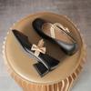 Zapatos Mary Jane Primavera 2023 Nuevos Más Fáciles de Combinar Punta Cuadrada Zapatos de Noche Viento Suave Tacón Bajo Tacón Grueso Zapatos de Hada para Mujer