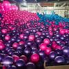 Mini Balón de Pilates Esmerilado a Prueba de Explosiones Balón de Yoga Balón Pequeño Yoga Fitness Pvc Deportes Glúteos Estiramiento y Moldeado