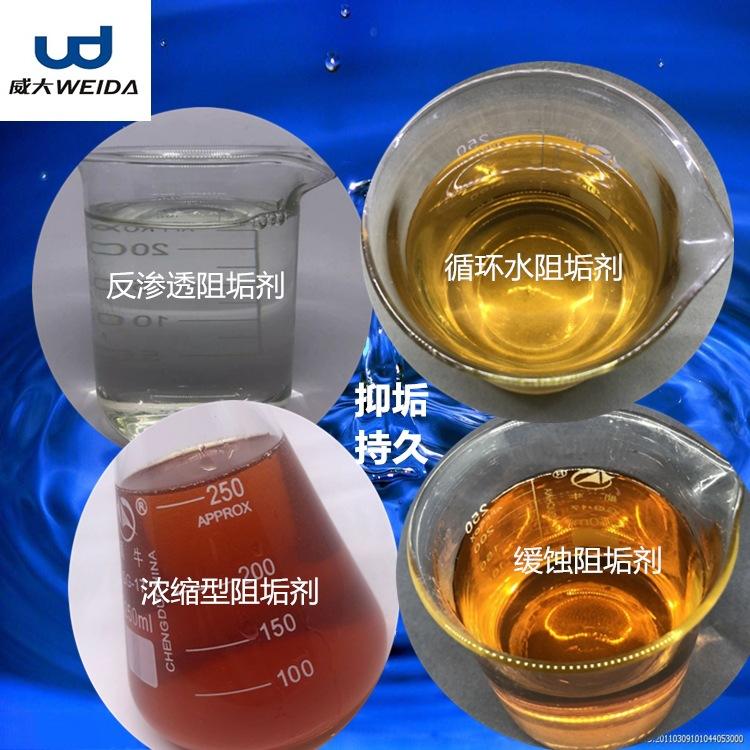 阻垢剂RO膜用水处理纯水除垢剂清洗剂超滤系统反渗透阻垢剂