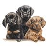 Nuevo divertido m86 caricatura lindo cachorro tres hermanos baño inodoro pegatinas para inodoro pegatinas de pared decorativas