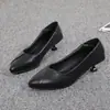 Sapatos de Salto Alto para Mulheres, 2026 Confortáveis com Solado Macio Versáteis Sapatos de Salto Único, Saltos Agulha, Couro Macio Profissional, Sapatos de Couro Pretos Elegantes com Bico Fino