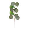 Nuevo Estilo Mori Arreglo Floral de Boda Decoración de Pared de Plantas Accesorios Hojas de Eucalipto Pequeñas Hojas de Eucalipto Individuales con Fruto