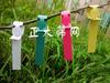 Etiqueta de anillo de PVC/etiqueta de plántula/etiqueta de flor/etiqueta de jardinería, etiqueta impresa (siete colores)