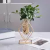 Vaso de Vidro com Flor de Ferro Forjado Criativo Decoração de Casa Vaso Transparente para Flores Secas Plantas Verdes Hidropônicas Vaso Decorativo Estilo Luxo Leve