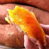 Batata Fresca Marca Yanshu de la Academia de Ciencias Agrícolas de Shandong con Corazón Dulce y Piel Infundida en Aceite - Venta Directa desde la Granja