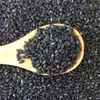Combinación Completa de Especias 50g: Condimento con Anís Estrellado, Rodajas de Jengibre Seco, Canela, Corteza de Canela, Condimento Casero para Estofar Carne, Clavo, Vaina de Vainilla