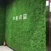 Pared de plantas artificiales césped alfombra pared de plantas verdes césped artificial decoración de pared verde pared de fondo interior y exterior