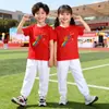 Camiseta Arco-Íris Jovem Chinesa Temporada de Volta às Aulas Outono Reunião Esportiva Uniforme de Atividade Conjunto de Fantasia para Apresentação do Dia Nacional Calça Branca