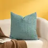 Producto de Comercio Exterior Más Vendido de Amazon: Funda de Cojín Suave de Espuma de Color Sólido para Sofá de Sala de Estar y Cabecero de Cama, Al por Mayor