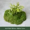 Paisajismo simple de plantas verdes artificiales para decoración interior suave, combinado con parterres, arreglos de musgo artificial y decoraciones de paisajes en miniatura para escaparates de tiendas.