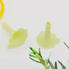 Funil de Separação de Plástico Pp Líquido de Perfume Separação Pequeno Funil Mini Tônico Cosméticos Ferramenta Dispensadora Fabricante