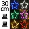 Luz de Estrela LED Baixa Tensão Estrela de Cinco Pontas Luz da Lua Luz de Árvore Pendurada à Prova d'Água para Exterior Iluminação de Árvore Forma Luz Circular