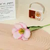 Estilo Ins Brownie de Cabeça Única Sorriso Aberto Tulipa Decoração de Casamento Transfronteiriça Flor Artificial Fábrica Atacadista Fornecimento Direto