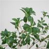 Ma Zui Madera simulación Planta verde japonesa modelo de hoja casa porche balcón plantas decorativas flores artificiales accesorios para fotos venta al por mayor
