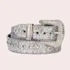 Cinto Larga Personalidade com Strass para Mulheres, Novo Cinto Versátil de Verão, Estilo Coreano Prata Ins Moda Simples Versátil Tendência