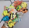 Simulación transfronteriza mini modelo de animal insecto plástico tortuga rana biología marina educación temprana juguetes cognitivos venta al por mayor