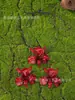 Pendientes Grandes de Flor Exagerada de Europa y América, Marca Transfronteriza Za En Stock Pendientes Metálicos Lacados Blanco Crudo, Exquisito Collar