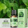 Óleo Essencial de Aromaterapia Solúvel em Óleo 10ml Fragrância de Longa Duração Máquina de Aromaterapia Difusor de Óleo Essencial Difusor de Pedra Madeira Vela de Óleo Essencial DIY