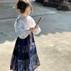 Liquidação não devolve não troca [pedido racional] meninas outono roupa chinesa camisa bordada saia cavalo