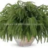 Bestseller Amazon transfronteiriço: plantas verdes artificiais, feixes de cedro, decoração de casa, árvore de Natal, plantas artificiais para jardim externo