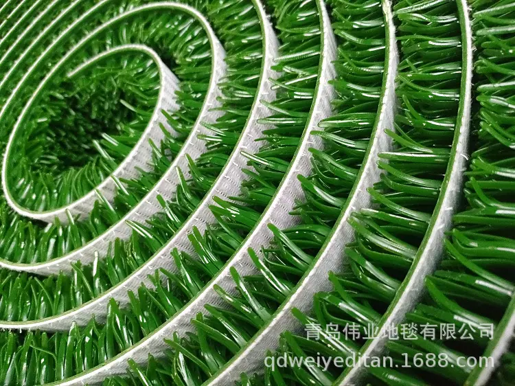 淘金草