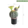 Ornamento Decorativo de Cacto Simulada Cactus de Interior Planta Verde Tropical do Deserto Paisagismo Vitrine Floreira Exibição