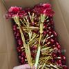 Cor Folha de Ouro 24K Rosa Cravo Dia dos Namorados Dia das Mães Festival Qixi Simulação Luminosa Flor Preservada