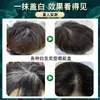 First Charm Cepillo Desechable para Teñir el Cabello Palito para Teñir el Cabello Bolígrafo para el Cabello Cubre Canas Cabello Negro Saludable Composición Suave Palito para el Cabello