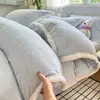 Juego de Cama de Cuatro Piezas de Terciopelo de Leche con Patrón Tallado Clase A 2026 Nuevo Invierno Grosor Alto Funda Nórdica Sábana Ajustada de Coral Fleece Juego de Cama 3