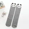Calcetines Largos de Primavera y Otoño para Niños Calcetines de Caña Media para Niñas Algodón Princesa Bebé Lindos Dibujos Animados Calcetines de Caña Alta Hasta la Rodilla Algodón