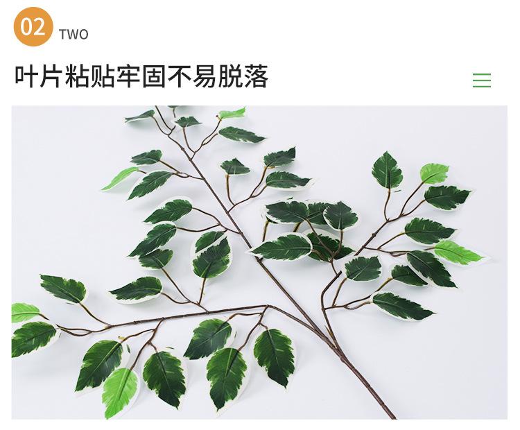 详情仿真绿植_06.jpg