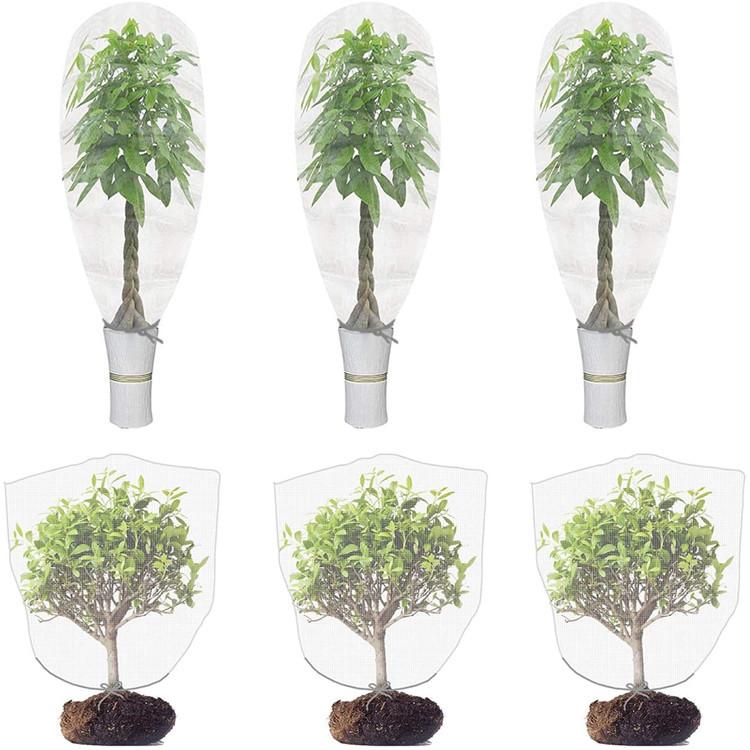 71kvfgOBP5L._AC_SL1500_