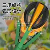 Herramienta para Recoger Fruta con Poste Telescópico y Tres Garras para Recoger Manzanas, Granadas, Peras y Caquis de Lugares Altos