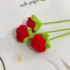 Rosas Acabadas Feitas à Mão em Crochê de Lã para Decoração de Casa, Miosótis, Margaridinhas, Rosas Bolha, Flores Artificiais de Alta Qualidade