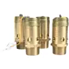 Válvula de seguridad para compresor de aire de elevación completa de máquina atornilladora de resorte de cobre completo Fuyu A28X-16T de Zhejiang DN8101520