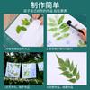 Paquete de materiales de teñido por golpeteo de plantas hecho a mano, traje de paquete de materiales para experiencia DIY hecha a mano, tela, herramientas de impresión y teñido de plantas