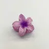 Presilha de Cabelo Flor de Plumeria Colorida Transfronteiriça da Amazon Vintage Elegante Feminina Meio-Presilha Parte de Trás da Cabeça Presilha de Tubarão