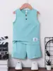 Fornecido Diretamente pelo Fabricante, Roupa Infantil Azul Claro Transfronteiriça, Conjunto de Duas Peças com Camiseta de Manga Curta e Shorts, Camisa com Capuz, Pedido Pequeno