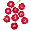 Material de flor seca de rosa rosa en forma de corazón diy repujado al por mayor espécimen de planta flor flor real marco de fotos pintura decoración