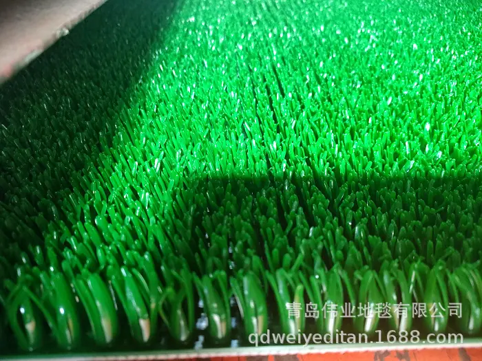 IMG20230220112241.jpg