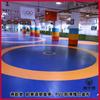 Tapete de Luta Tapete de Treinamento de Competição XPE Sanda Artes Marciais Luta Prática Tapete de Luta Livre Cobertura de Campo de Luta Lista