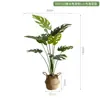 Plantas Artificiais Estilo Nórdico em Estoque para Atacado, Planta Artificial de Taro Torto, Plantas Verdes Falsas para Paisagismo, Plantas em Vasos para Decoração de Piso Interno para Sala de Estar