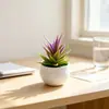 Olla rayada más vendida de Amazon, planta pequeña de aloe vera artificial, suculenta de plástico creativa para escritorio de oficina, planta verde, bonsái