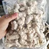 Panax Notoginseng Yunnan Panax Notoginseng Tianqi Sin Materiales Medicinales Chinos Añadidos Puede Ayudar a Cortar Rodajas de Panax Notoginseng y Moler Polvo 37 Polvo de Panax Notoginseng Panax Notoginseng 20 Cabezas