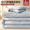 Novo enchimento de edredom de algodão de Xinjiang 2026, edredom de inverno espesso, edredom para primavera e outono, roupa de cama de algodão para uma pessoa para dormitórios, adequado para todas as estações