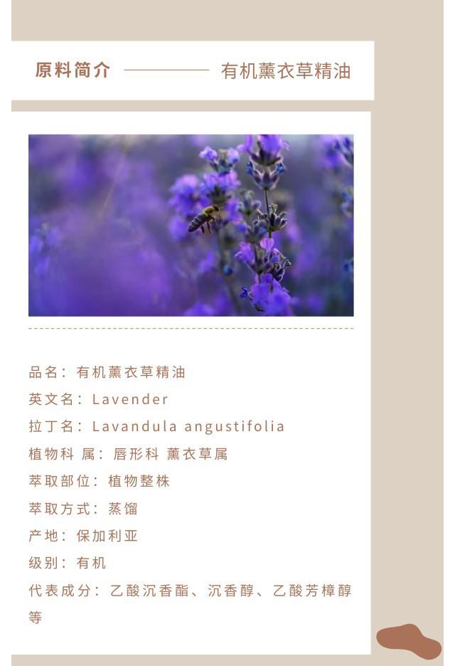 薰衣草精油.jpg